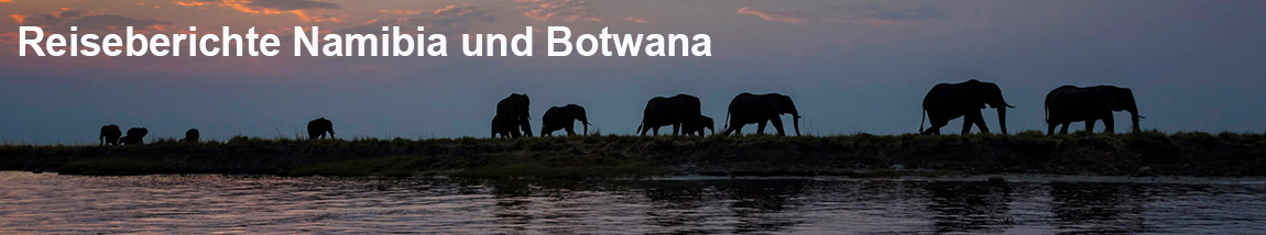 Chobe Nationalpark - Elefanten bei Sonnenuntergang